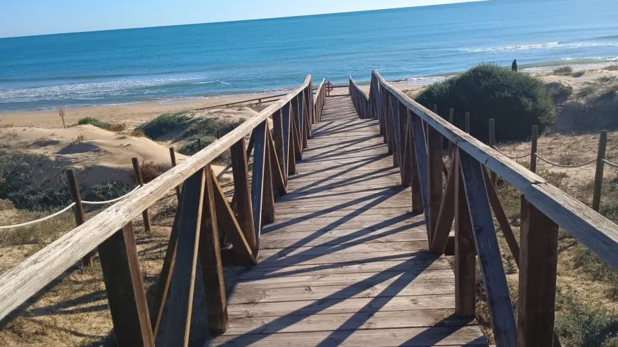 Apartamento de 2 dormitorios en Guardamar del Segura, Spain No. 2929 № 1