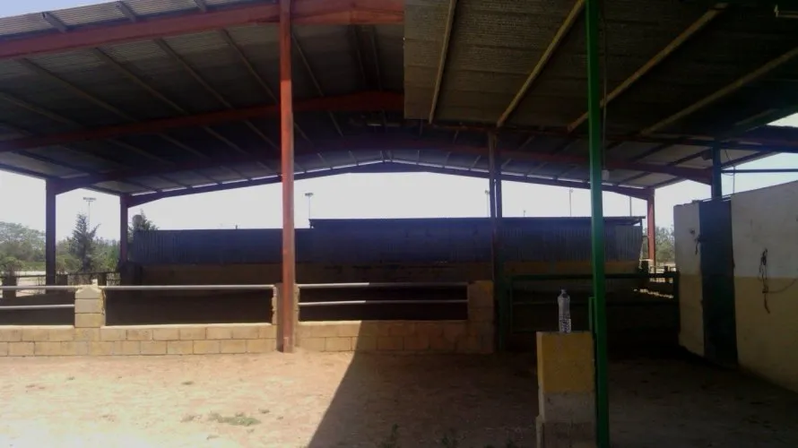 Propiedad comercial de 3 dormitorios en Elche, Spain No. 273 № 6