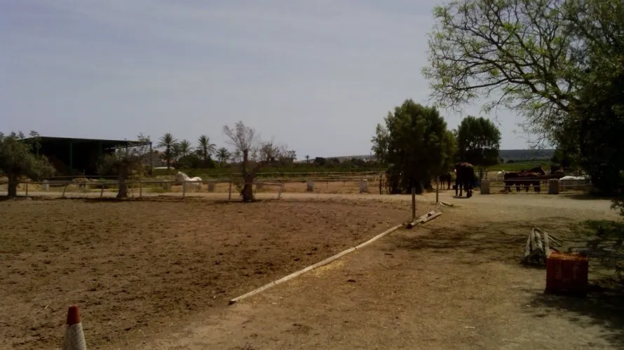 Propiedad comercial de 3 dormitorios en Elche, Spain No. 273 № 9