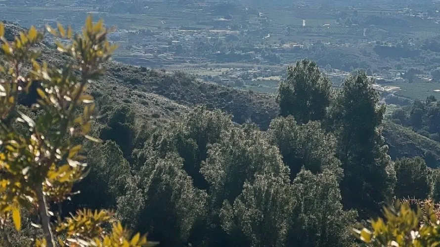 Parcela de en Torrent, Spain No. 2822 № 2