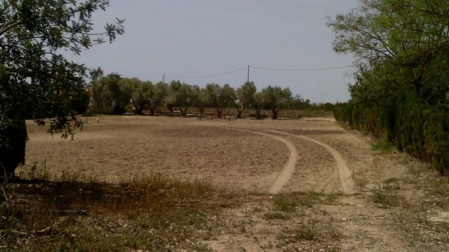 Propiedad comercial de 3 dormitorios en Elche, Spain No. 273 № 16