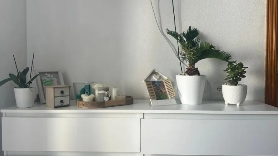 Apartamento de 1 dormitorio en Torrevieja, Spain No. 2845 № 2