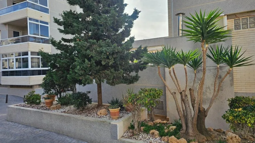 Apartamento de 2 dormitorios en Torreblanca, Spain No. 1002 № 25