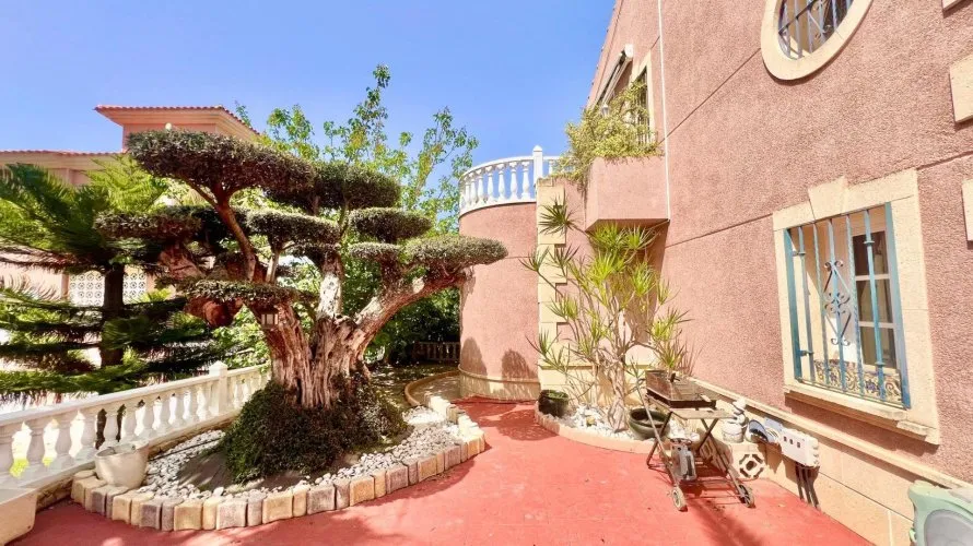 Villa de 3 dormitorios en Torrevieja, Spain No. 126 № 17