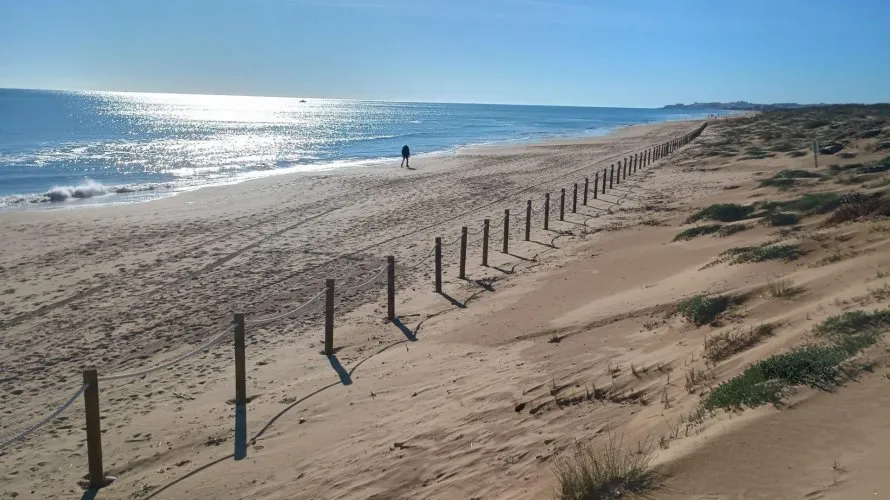 Apartamento de 2 dormitorios en Guardamar del Segura, Spain No. 2929