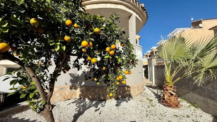 Villa de 4 dormitorios en Playa Flamenca II, Spain No. 175 № 13