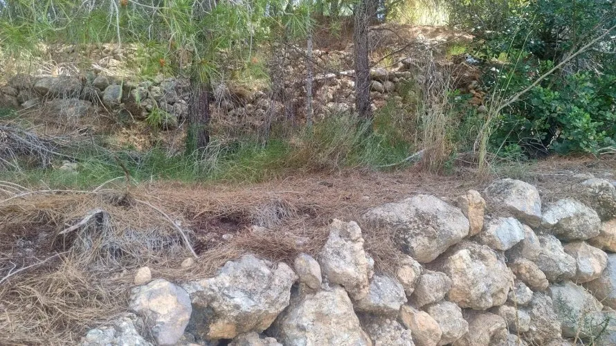 Parcela de en Galera de las Palmeras, Spain No. 730 № 7