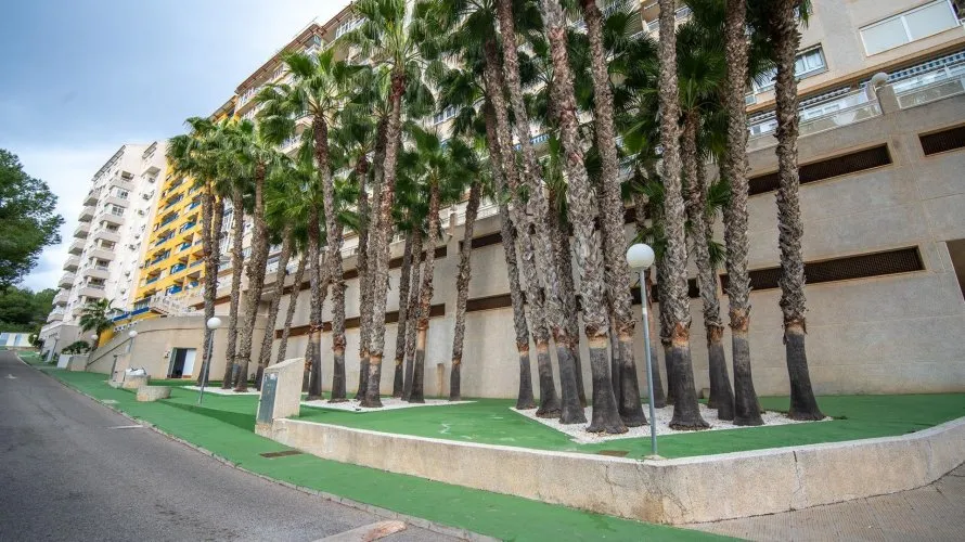 Ático de 2 dormitorios en Dehesa De Campoamor, Spain No. 1131 № 28