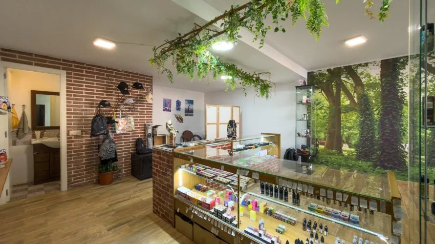 Propiedad comercial de 1 dormitorio en San Martín de Valdeiglesias, Spain No. 2784 № 15