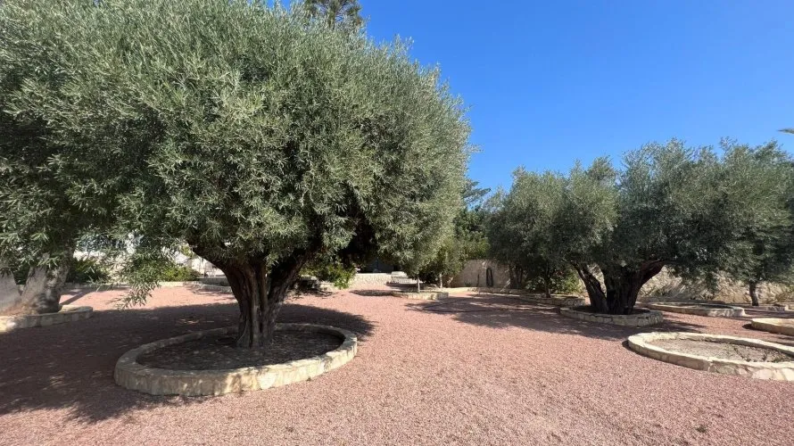 Villa de 236m² en Rojales, Spain No. 1358 № 5