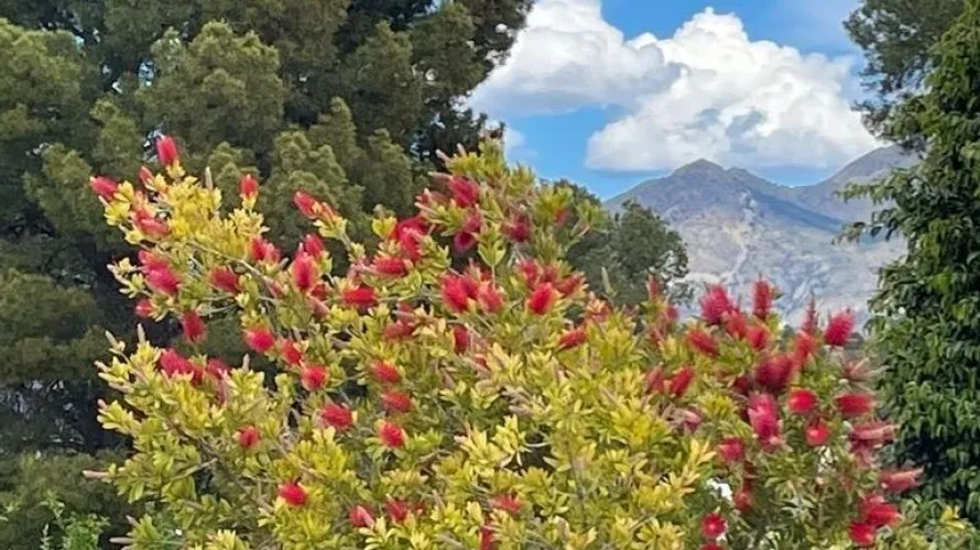 Villa de 3 dormitorios en La Alberca, Spain No. 1047 № 27