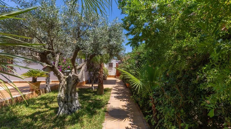 Villa de 4 dormitorios en Alicante, Spain No. 780 № 18