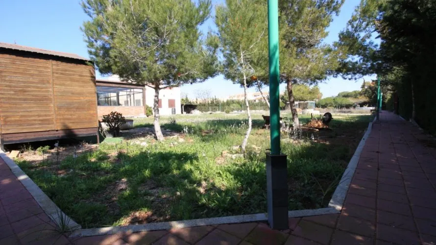 Apartamento de 2 dormitorios en Campoamor, Spain No. 274 № 7