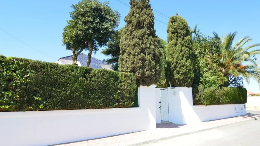 Villa de 4 dormitorios en Torrevieja, Spain No. 117 № 5
