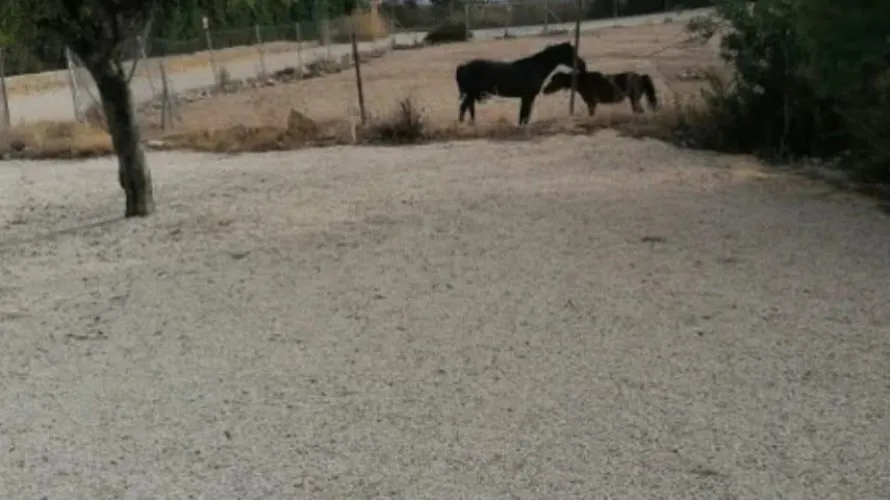 Сasa de 4 dormitorios en Villajoyosa, Spain No. 841 № 11