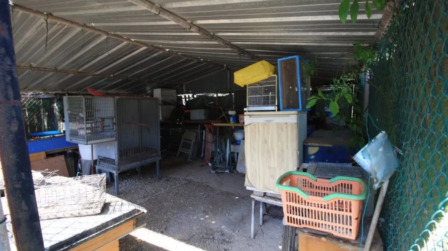 Apartamento de 2 dormitorios en Campoamor, Spain No. 274 № 12