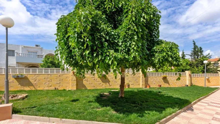 Parcela de 1 dormitorio en El Chaparral, Spain No. 2884 № 1