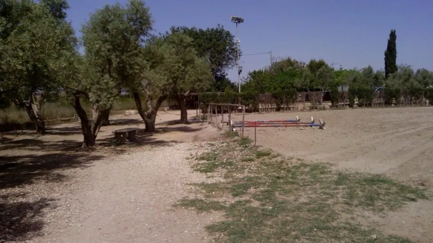 Propiedad comercial de 3 dormitorios en Elche, Spain No. 273 № 15