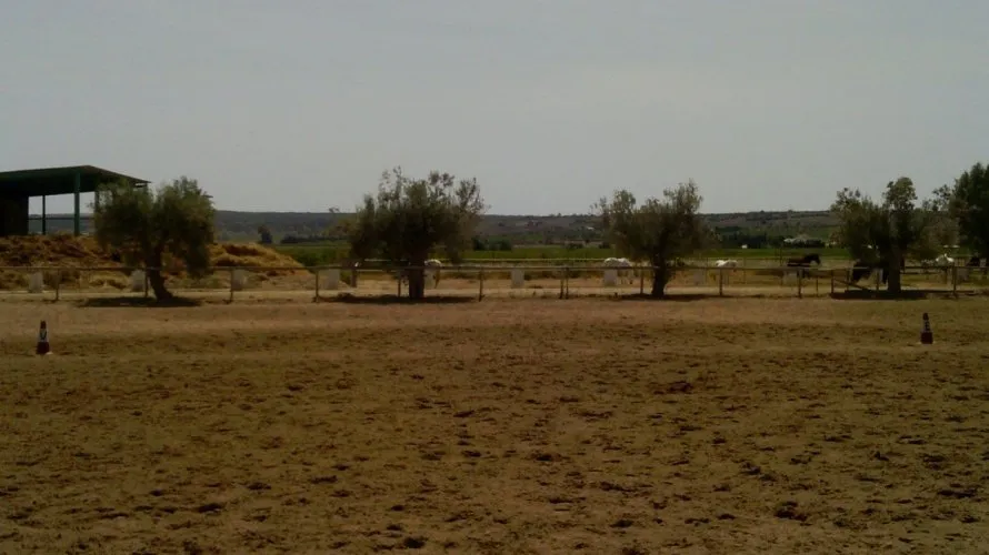 Propiedad comercial de 3 dormitorios en Elche, Spain No. 273 № 17