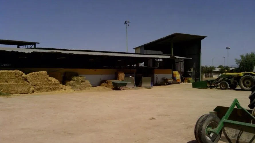 Propiedad comercial de 3 dormitorios en Elche, Spain No. 273 № 3