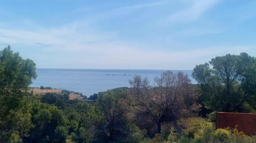 Parcela de en Galera de las Palmeras, Spain No. 730 № 20