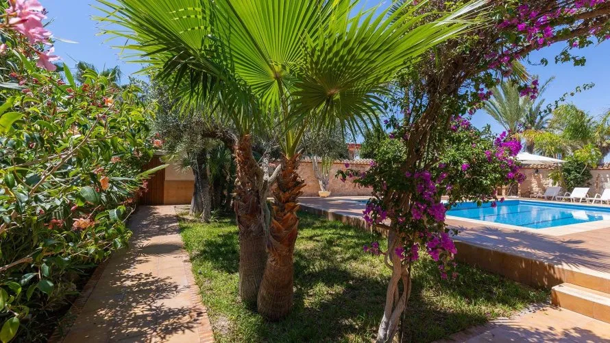 Villa de 4 dormitorios en Alicante, Spain No. 780 № 20