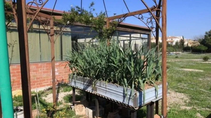 Apartamento de 2 dormitorios en Campoamor, Spain No. 274 № 10