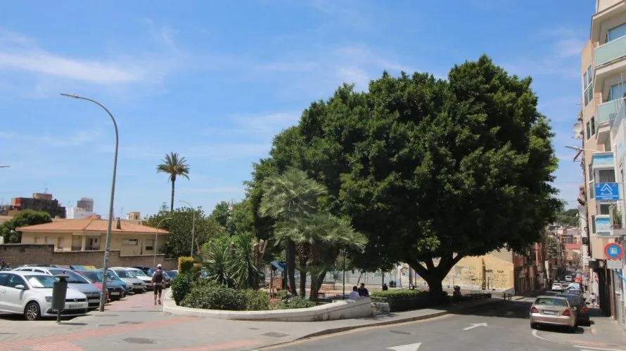 Propiedad comercial de 24 dormitorios en Alicante, Spain No. 451 № 15