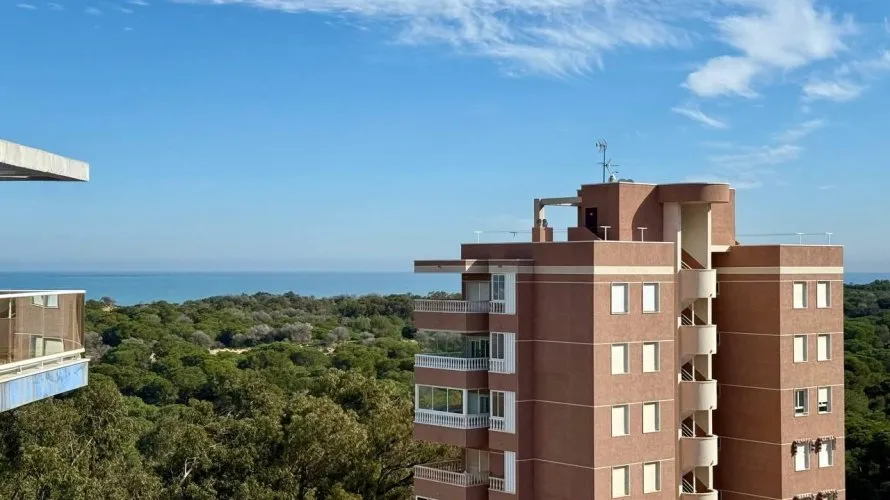 Apartamento de 3 dormitorios en Guardamar del Segura, Spain No. 1062 № 15