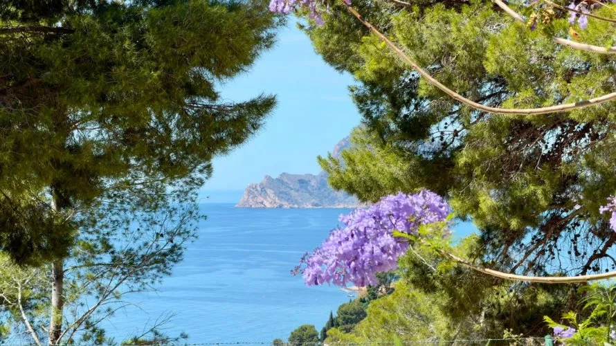 Apartamento de 3 dormitorios en Zona Altea Hills, Spain No. 1185 № 2