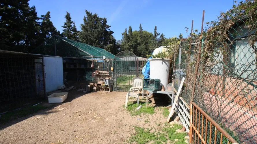 Apartamento de 2 dormitorios en Campoamor, Spain No. 274 № 19