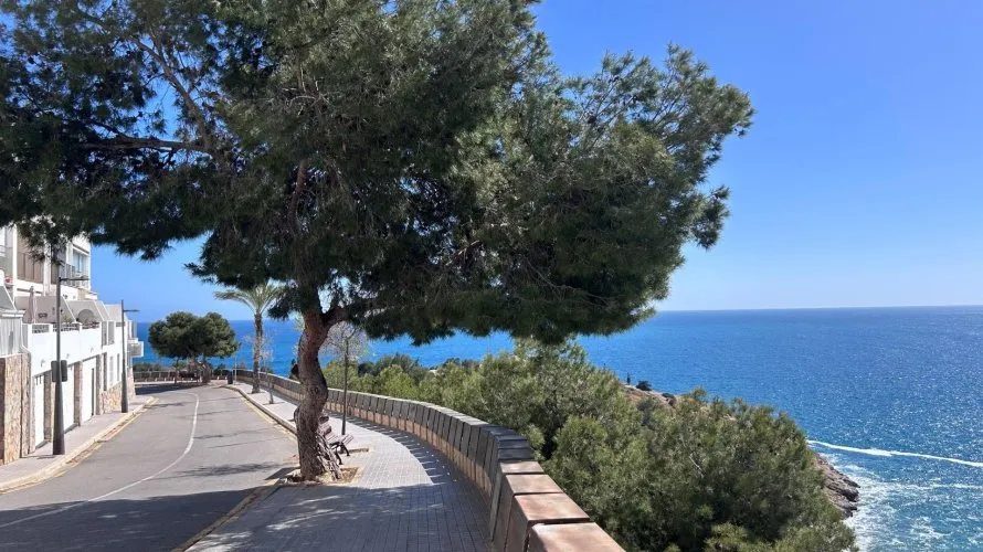 Apartamento de 1 dormitorio en Benidorm, Spain No. 954 № 8