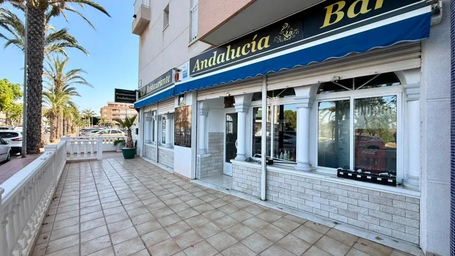 Propiedad comercial de 101m² en Guardamar del Segura, Spain No. 3131 № 7