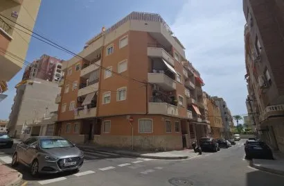 Apartamento de 1 dormitorio en Torrevieja, Spain No. 3072