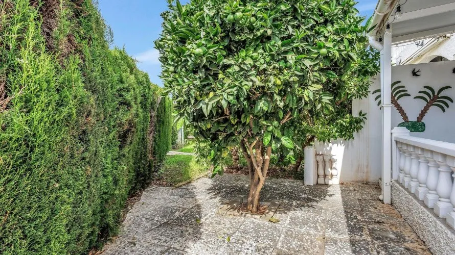 Сasa de 42m² en Alicante, Spain No. 3153 № 25