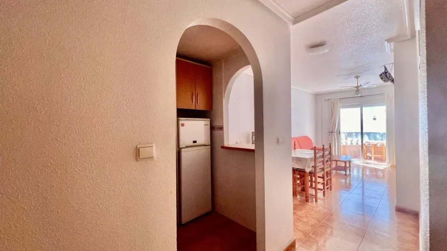 Apartamento de 1 dormitorio en Torrevieja, Spain No. 3335 № 18