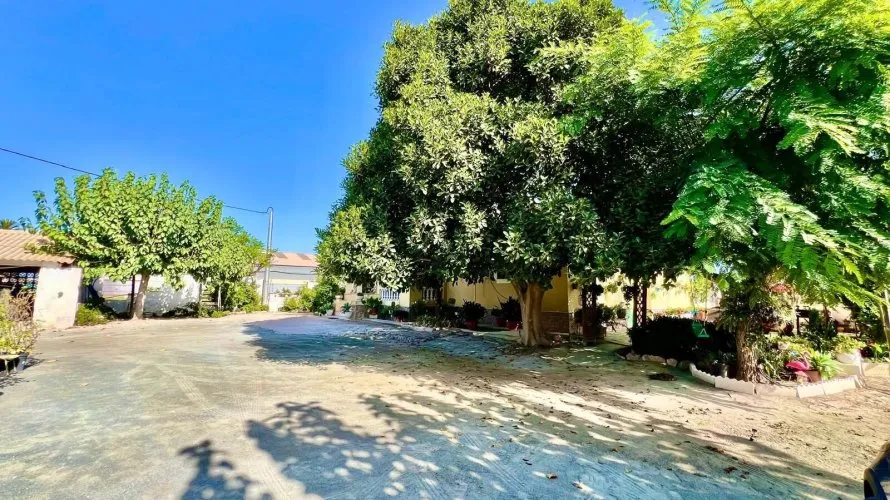 Villa de 3 dormitorios en Daya Vieja, Spain No. 3243 № 24