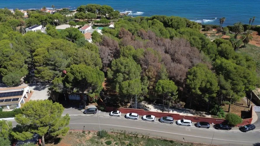 Villa de 330m² en Calasparra, Spain No. 3429 № 24