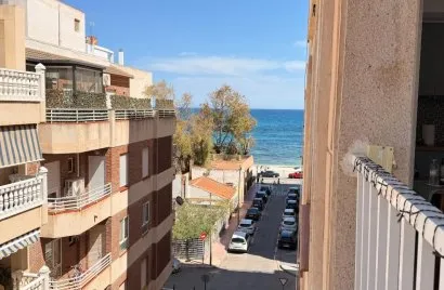 Apartamento de 1 dormitorio en Torrevieja, Spain No. 3513