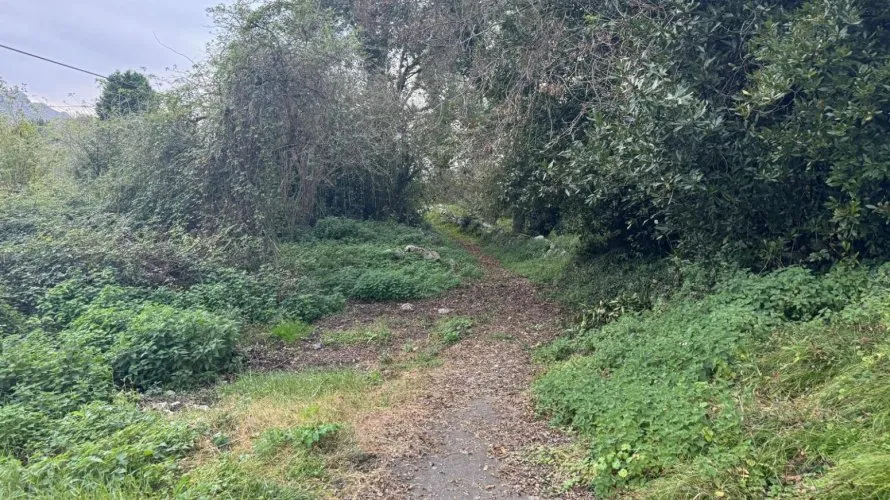 Land plot de 82m² à Llanes, Spain No. 1315 № 2