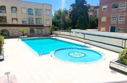 Apartment de 2 chambres à Torrevieja, Spain No. 2842