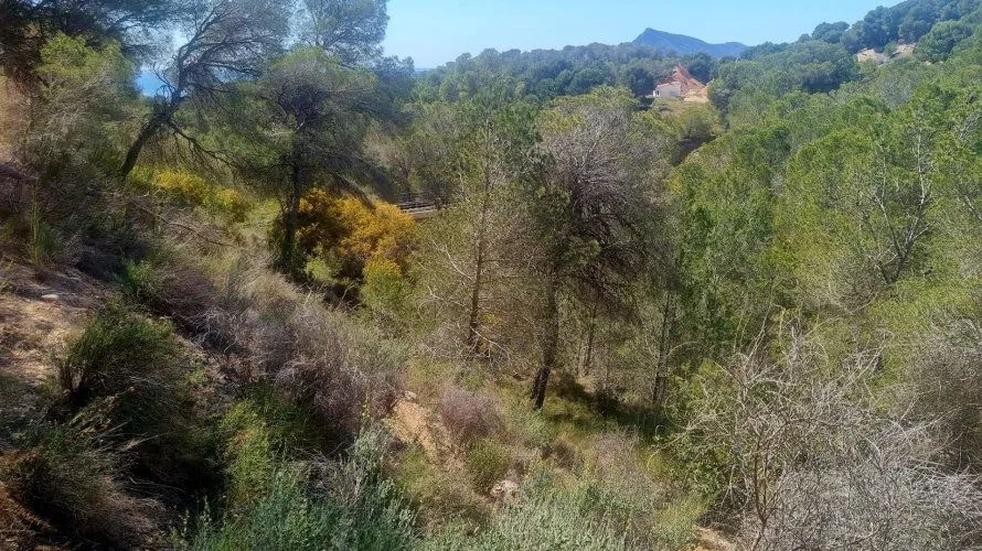Land plot de à Galera de las Palmeras, Spain No. 730 № 11