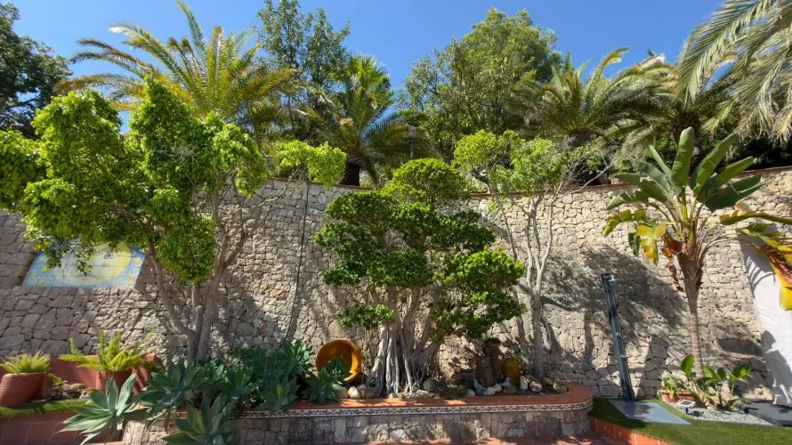 Villa de 4 chambres à La Pedrera, Spain No. 1459 № 7
