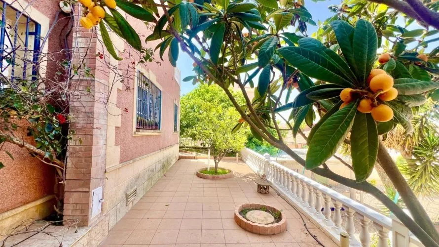 Villa de 3 chambres à Torrevieja, Spain No. 126 № 21