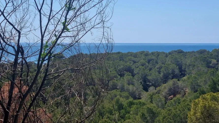 Land plot de à Galera de las Palmeras, Spain No. 730 № 3