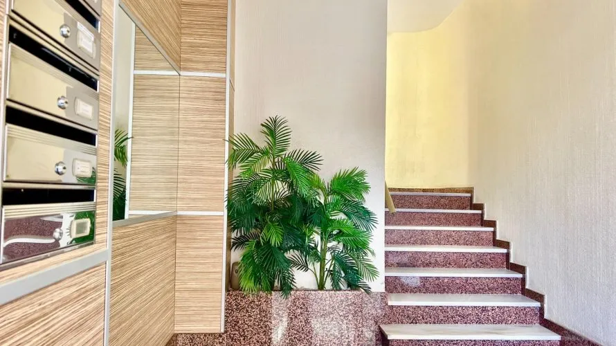 Apartment de 3 chambres à Torrevieja, Spain No. 162 № 4