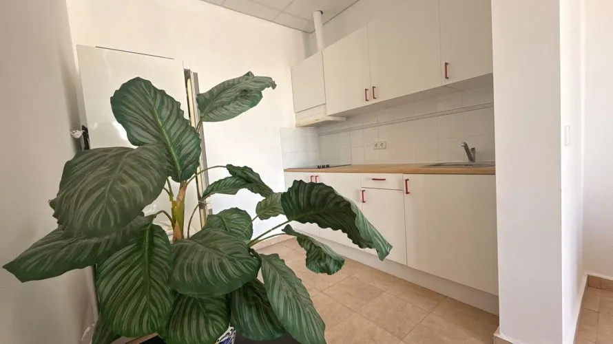 Villa de 384m² à Calpe, Spain No. 159 № 8