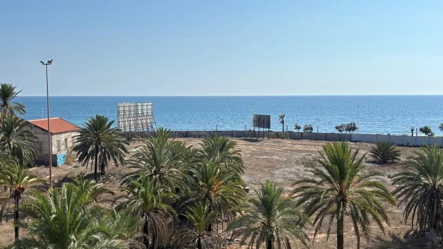 Apartment de 1 chambre à Torrevieja, Spain No. 238 № 6