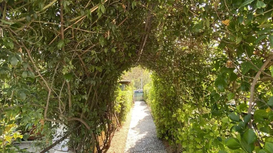 Villa de 4 chambres à L'Alfàs del Pi, Spain No. 469 № 12