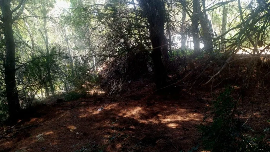 Land plot de à Galera de las Palmeras, Spain No. 730 № 9